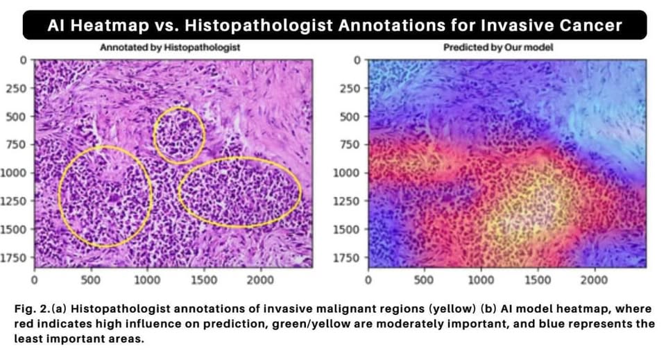 Warmest congratulations to Samiha Jainab, Natalia Raj for winning International Pathology Day Poster Competition