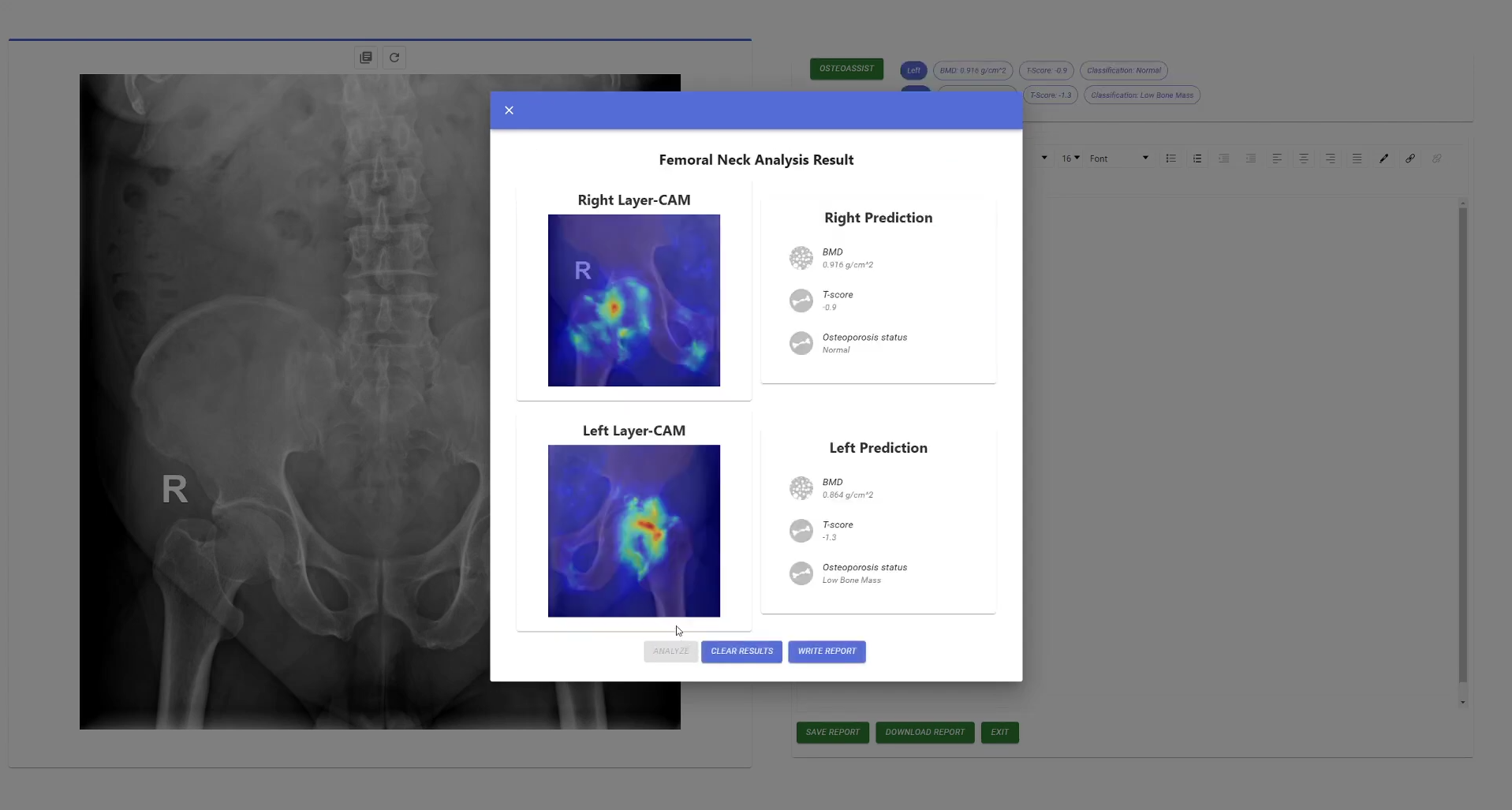 Screening of Orthopaedic Conditions