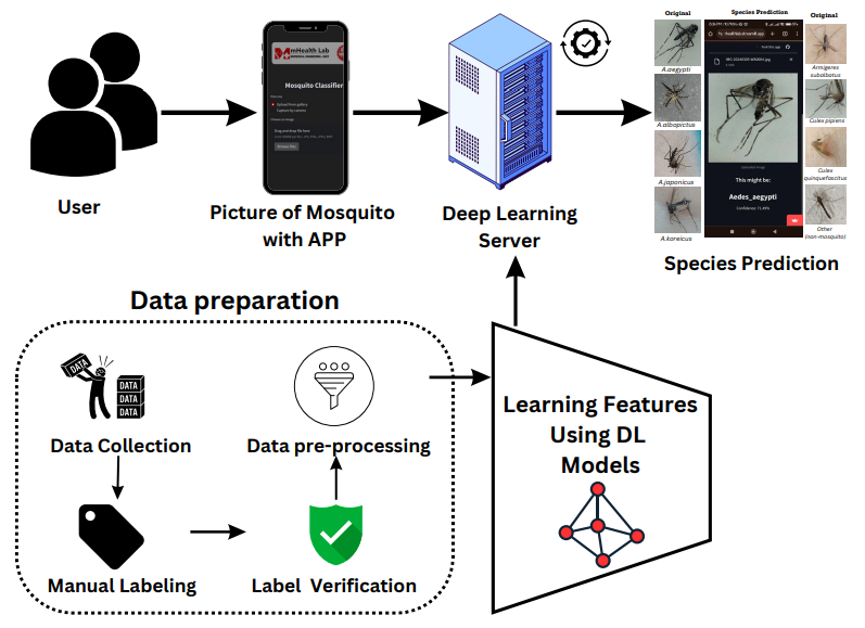 Aedes Vector Surveillance